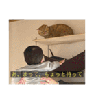 kisukes(字幕)（個別スタンプ：33）