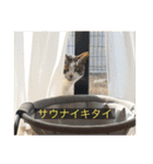 kisukes(字幕)（個別スタンプ：36）