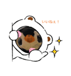 きもかわ！ペンギンスタンプ（個別スタンプ：6）