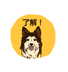 わんこ正面から同意しますスタンプ（個別スタンプ：3）