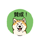 わんこ正面から同意しますスタンプ（個別スタンプ：16）