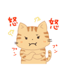 ねこねこ毎日スタンプPart.2（個別スタンプ：3）