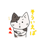 ねこねこ毎日スタンプPart.2（個別スタンプ：17）