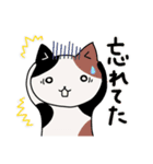 ねこねこ毎日スタンプPart.2（個別スタンプ：18）