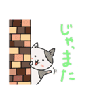 ねこねこ毎日スタンプPart.2（個別スタンプ：24）