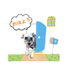 みんなのあんず（個別スタンプ：4）