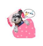 みんなのあんず（個別スタンプ：6）