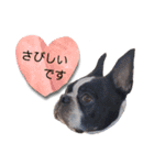 発達障害★当事者の気持ち（個別スタンプ：26）