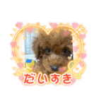 ラン^ ^（個別スタンプ：3）