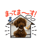 ラン^ ^（個別スタンプ：5）