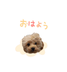 ユキちゃん毎日挨拶スタンプ（個別スタンプ：1）