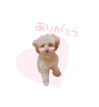 ユキちゃん毎日挨拶スタンプ（個別スタンプ：3）