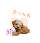 ユキちゃん毎日挨拶スタンプ（個別スタンプ：8）