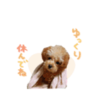 ユキちゃん毎日挨拶スタンプ（個別スタンプ：11）