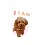 ユキちゃん毎日挨拶スタンプ（個別スタンプ：12）