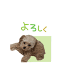 ユキちゃん毎日挨拶スタンプ（個別スタンプ：15）