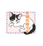 色んな猫たちの日常会話（個別スタンプ：5）