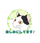 色んな猫たちの日常会話（個別スタンプ：8）