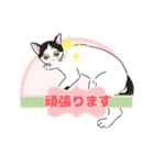 色んな猫たちの日常会話（個別スタンプ：25）