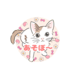 色んな猫たちの日常会話（個別スタンプ：28）