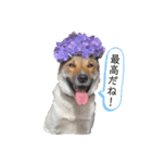 僕ちゅんちゅん（個別スタンプ：2）