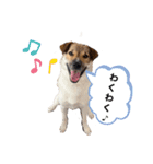 僕ちゅんちゅん（個別スタンプ：13）