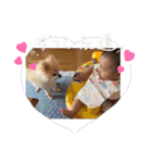 みぃちゃん4（個別スタンプ：40）