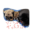はちもちてんりく（個別スタンプ：17）