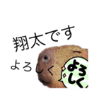 ネガティブ翔ちゃん（個別スタンプ：1）