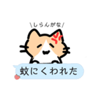 ︎︎日常猫 Ver3（個別スタンプ：5）