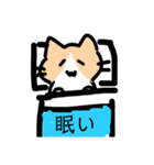 ︎︎日常猫 Ver3（個別スタンプ：7）