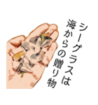 第2弾[サーフィン生活] 公式（個別スタンプ：37）