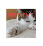ちゃんと使えるちくわスタンプ（個別スタンプ：7）