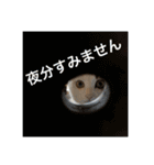 ちゃんと使えるちくわスタンプ（個別スタンプ：22）