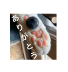 ちゃんと使えるちくわスタンプ（個別スタンプ：24）