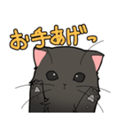 黒子猫、と（個別スタンプ：10）