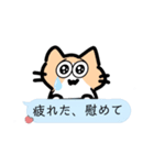 ︎︎日常猫 Ver4（個別スタンプ：6）