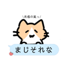 ︎︎日常猫 Ver4（個別スタンプ：8）