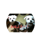 悪ガキマルチーズ兄弟！！（個別スタンプ：1）