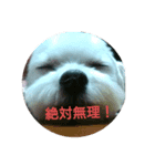 悪ガキマルチーズ兄弟！！（個別スタンプ：3）