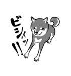 なめらか柴犬（黒柴）（個別スタンプ：2）