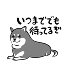 なめらか柴犬（黒柴）（個別スタンプ：25）