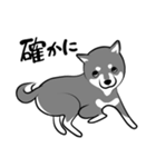 なめらか柴犬（黒柴）（個別スタンプ：26）