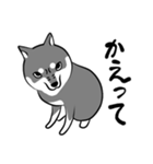 なめらか柴犬（黒柴）（個別スタンプ：30）