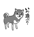 なめらか柴犬（黒柴）（個別スタンプ：35）