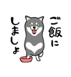 なめらか柴犬（黒柴）（個別スタンプ：36）