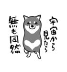 なめらか柴犬（黒柴）（個別スタンプ：40）