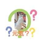 使いやすいうさ＆ラビィスタンプ①（個別スタンプ：2）