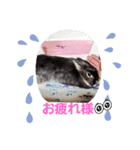 使いやすいうさ＆ラビィスタンプ①（個別スタンプ：3）