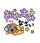 大好き孔明くん2（個別スタンプ：3）
